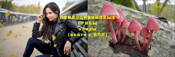 мяу мяу мука Наволоки