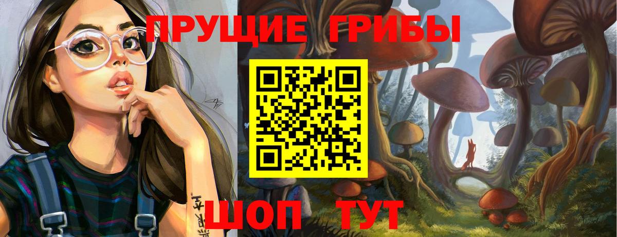 Псилоцибиновые грибы Cubensis  Вход с VPN  Родники 