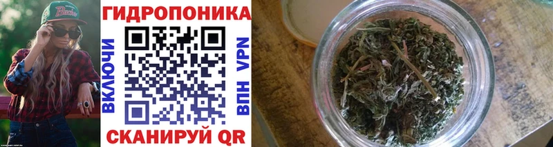 Канабис план  Родники 